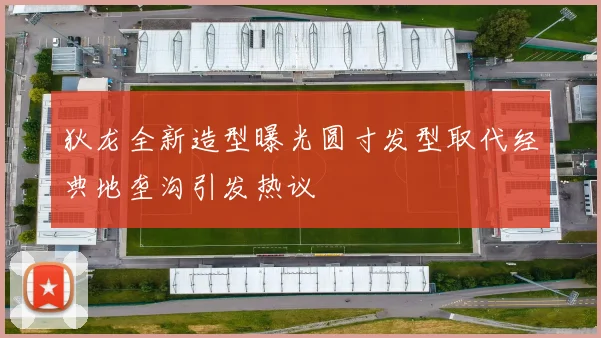 狄龙全新造型曝光圆寸发型取代经典地垄沟引发热议