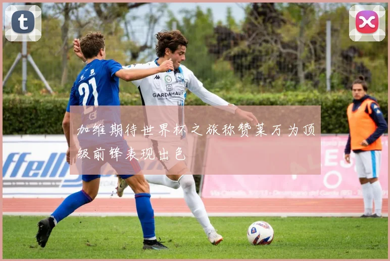 加维期待世界杯之旅称赞莱万为顶级前锋表现出色