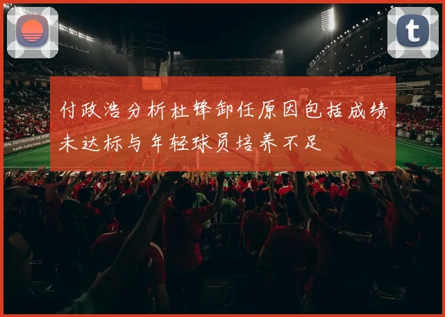 付政浩分析杜锋卸任原因包括成绩未达标与年轻球员培养不足